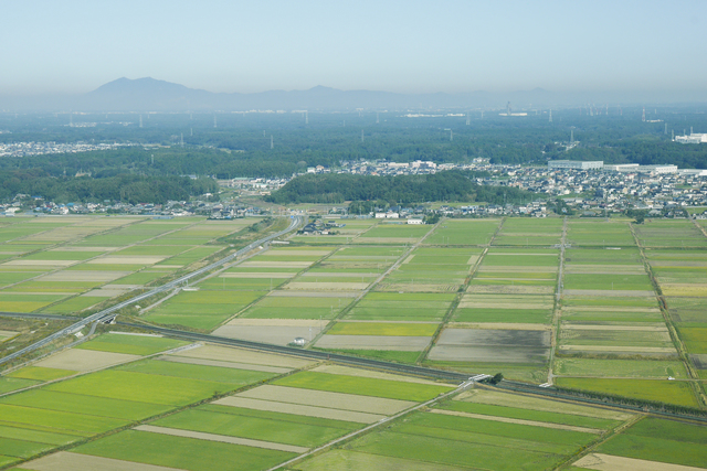 茨城県で派遣をはじめてみたい方へ！おすすめの派遣会社をご紹介